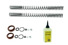 Progressiv-Federn Reparatur